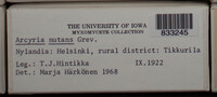 Image Associated With the Occurence